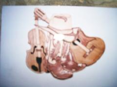 Sunday July 29, 2007 18:52 - ACCIDENT ON MAIN ST. 027.jpg